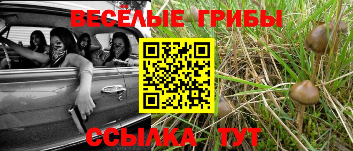 Псилоцибиновые грибы Magic Shrooms  где купить   Псилоцибиновые грибы Psilocybine cubensis  Соликамск 