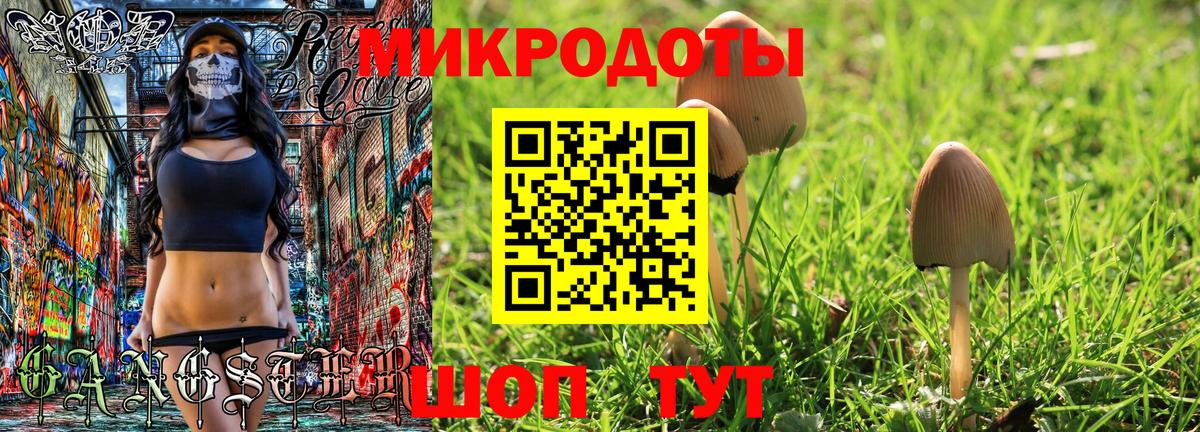 Псилоцибиновые грибы прущие грибы Соликамск